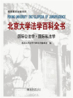北京大学法学百科全书：国际公法学 国际私法学