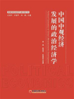 中国中观经济发展的政治经济学研究
