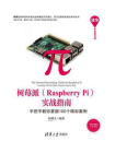 树莓派（Raspberry Pi）实战指南：手把手教你掌握100个精彩案例