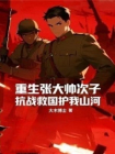 重生张大帅次子，抗战救国护我山河