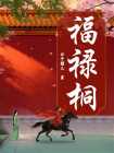 福禄桐[精品]