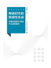 网络时代的新感性生成：中国互联网IP热的产业逻辑研究
