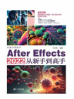 After Effects 2022从新手到高手