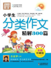 小学生分类作文精解300篇