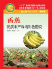 香蕉优质丰产栽培彩色图说（“金土地”新农村书系 · 果树编[精品]