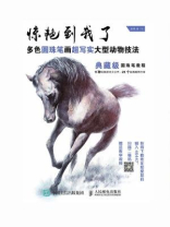 惊艳到我了 多色圆珠笔画超写实大型动物技法