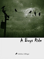 A Boys Ride
