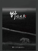 野性之美:野生动物摄影手记(全彩) 野性之美:野生动物摄影手记(全彩)