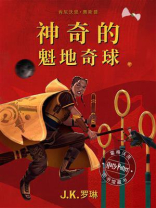 神奇的魁地奇球