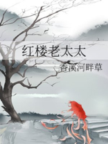 红楼老太太 红楼老太太