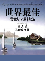 世界最佳微型小说精华（第三卷）