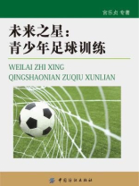 未来之星：青少年足球训练