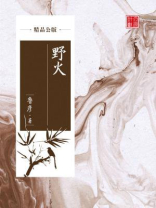 野火（精品公版）
