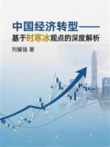 中国经济转型：基于时寒冰观点的深度解析
