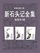 新石头记全集（套装共3册）