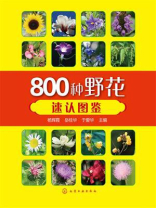 800种野花速认图鉴