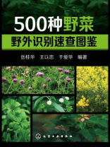 500种野菜野外识别速查图鉴