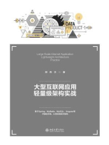 大型互联网应用轻量级架构实战