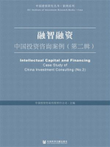 融智融资：中国投资咨询案例（第2辑）(中国建投研究丛书·案例系列)