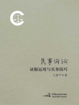 民事诉讼证据运用与实务技巧