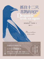 抓住十二只喜鹊的尾巴