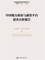 中国地方政府与融资平台债务分析报告