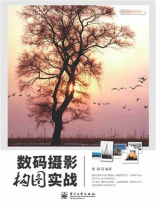 数码摄影构图实战(全彩)