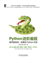 Python进阶编程：编写更高效、优雅的Python代码