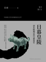 日暮皇陵：清东陵地宫珍宝被盗记