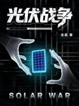 光伏战争