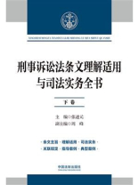 刑事诉讼法条文理解适用与司法实务全书（下卷）