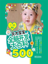天才宝宝全脑开发大百科500例（0～3岁男孩）（双色）