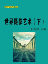 世界摄影艺术（下）