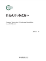 错案成因与制度修补
