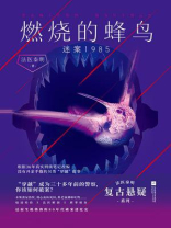 燃烧的蜂鸟:迷案1985 燃烧的蜂鸟:迷案1985