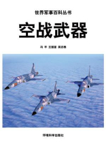 空战武器 空战武器