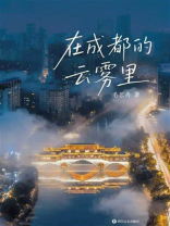 在成都的云雾里