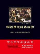 钢铁是怎样炼成的（中小学生必读丛书）