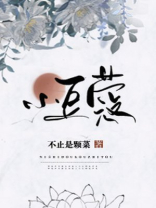 小豆蔻 小豆蔻