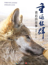 重返狼群背后的故事