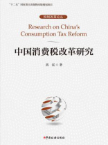 中国消费税改革研究