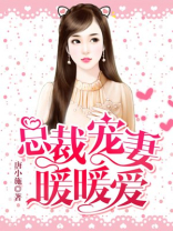 总裁宠妻暖暖爱