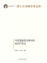 中亚国家民法典中的知识产权法