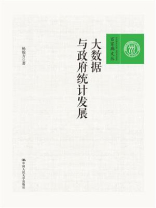 大数据与政府统计发展