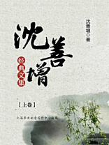 沈善增经典文集（上卷）