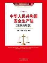 中华人民共和国安全生产法：立案·管辖·证据·裁判（案例应用版）