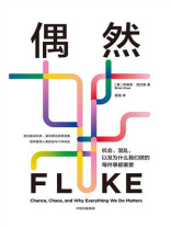 偶然：机会、混乱，以及为什么我们做的每件事都重要