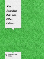 Red Saunders Pets and Other Critters