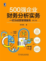 500强企业财务分析实务：一切为经营管理服务（第2版）