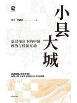 小县大城：基层视角下的中国政治与经济互动